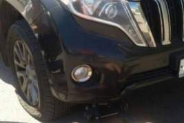 После расследований о «Гарден Сити» общественнице из Петербурга повредили автомобиль