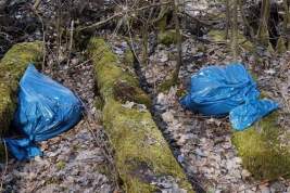 В Мурино нашли пакеты с останками женщины: она погибла во время застолья