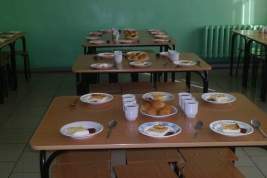 ФАС снова подозревает монополию на рынке школьного питания в Петербурге