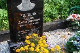 Памятник Вадима Чечеля
