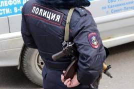 Полиция Петербурга задержала директора Академии милиции