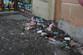 В «нулевой» день ПМЭФ петербуржцы 265 раз пожаловались на мусор
